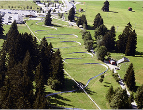 Tegelberg Luge Ride in Germany